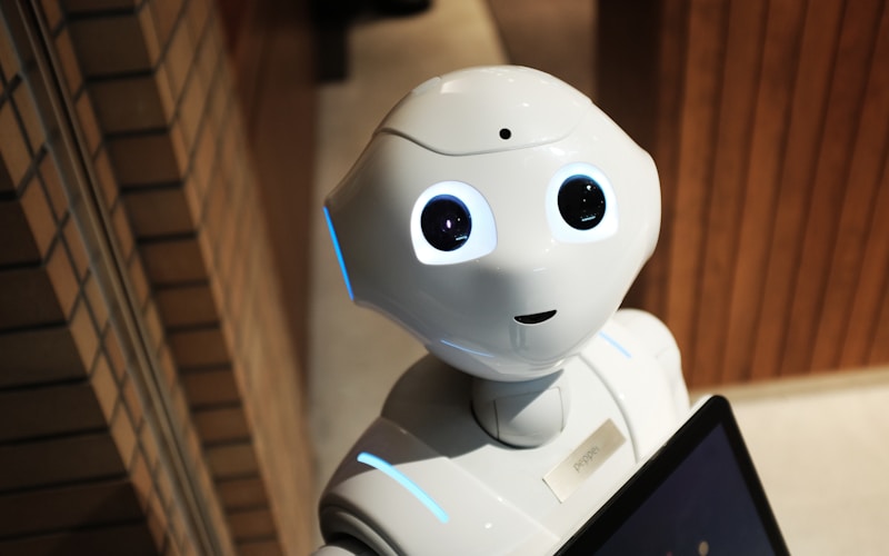 AI Chatbot Demo